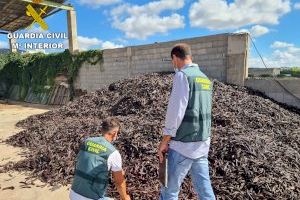 Investigados por el robo de 20 toneladas de algarroba en la provincia de Valencia