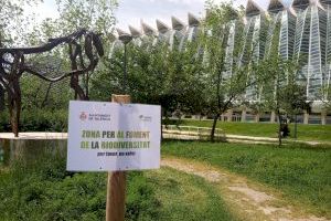 El Organismo Autónomo de Parques y Jardines invertirá en 2021 en la rehabilitación integral del Parque Gulliver y la redacción del Plan Verde y de la Biodiversidad de València