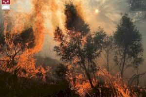 Greu incendi forestal a Bejís que ha obligat a desallotjar diverses poblacions