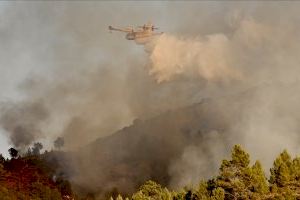 Logran estabilizar el incendio forestal de Bejís tras una complicada noche