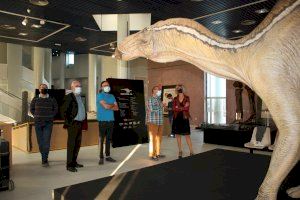 El Planetari de Castelló obre demà al públic l’exposició sobre dinosaures ‘Morelladon&CIA’