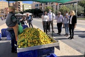 Almassora obri el IX Mercat de la Taronja en suport de l’agricultura local