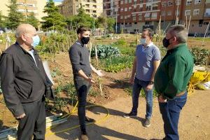 Castelló reubicarà l'hort urbà del districte sud del carrer Onda a una parcel·la de major superfície