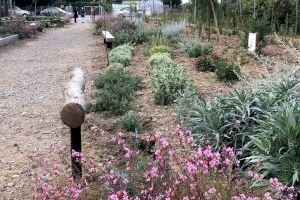 Almassora transforma un solar abandonat en el jardí Darremur Harmònic