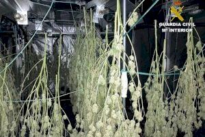 La Guardia Civil desmantela una plantación de marihuana ubicada en un chalet de lujo de Altea
