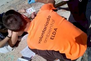 Medio Ambiente pone en marcha nuevas actividades del Voluntariado Ambiental de Elda para los meses de noviembre y diciembre