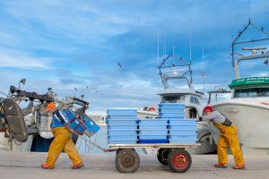Benicarló demana ajudes europees per a promocionar el sector pesquer