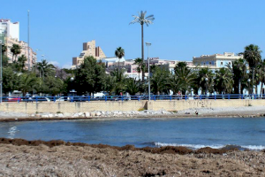 El MITECO saca a información pública el proyecto de mejora de la playa urbana del Postiguet
