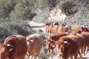 Agricultura deu 3,2 milions als ramaders valencians