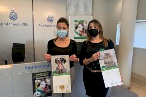 El Ayuntamiento de Elche impulsa junto a la Protectora Baix Vinalopó un calendario benéfico de cinco euros para concienciar del cuidado animal
