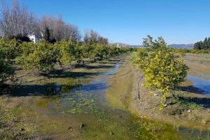 Agricultores de Sagunt y Almenara piden acabar con las inundaciones en el marjal de Almardà