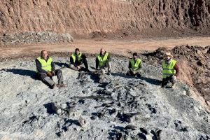 Hallan nuevos restos de dinosaurios ornitópodos en las minas de arcilla de Morella