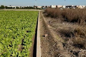 L'Ajuntament de València impulsa expedients sancionadors als propietaris d'espais agrícoles abandonats