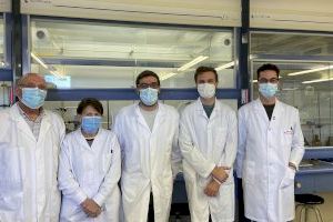 La Universitat de València patenta un mètode per a detectar la toxina patulina en aliments