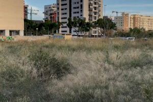 Cs critica la falta de neteja i manteniment dels solars de Castelló