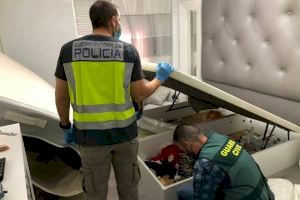 Macrooperació a Alacant: Desarticulada la major xarxa de tràfic de drogues de la província