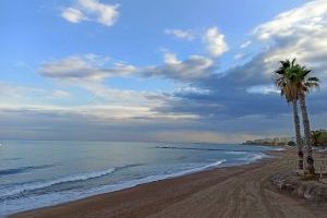Els gossos podran accedir a les platges de Benicàssim de l'1 de novembre a l'1 de març