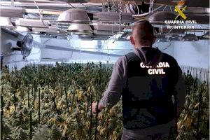 Desmantelada una plantación de marihuana en el sótano de un restaurante de Alicante