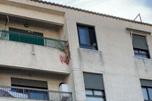 La policía rescata a un perro malherido que colgaba del balcón de un tercer piso en Bellreguard tras abandonarlo su maltratador