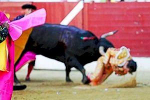 El Museo Taurino de Burriana expondrá la cabeza del toro que mató a Paquirri