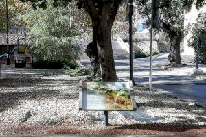La Regidoria de Promoció Lingüística de Cocentaina porta la poesia al carrer col·locant una placa al Pla de la Font per a recordar el poeta Vicent Valls