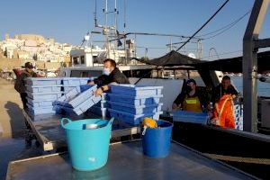 El sector pesquero de la Comunidad Valenciana espera cobrar las ayudas oficiales de las vedas de 2018, 2019 y 2020 a partir de este diciembre
