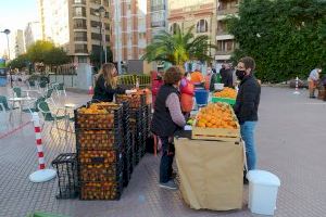 Castelló inicia la Fira de la Taronja con el lema “cuidem l’agricultura”