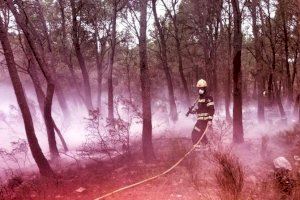 Un incendi forestal calcina 1.500 metres en la part més alta de la Partida de Sella