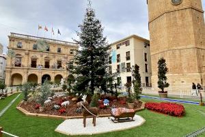 Navidad sostenible en Castellón