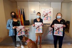 El Ayuntamiento de Elche lanza una campaña para prevenir el abandono de mascotas tras las fiestas navideñas