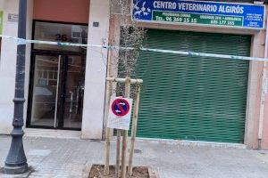 El Ayuntamiento sustituye el arbolado de la calle Pobla de Farnals para evitar molestias al vecindario