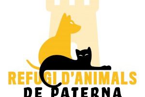 El Refugio de Animales de Paterna estrena web para fomentar las adopciones