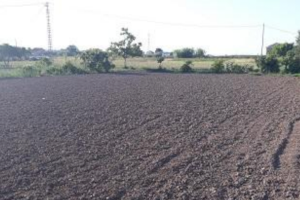 Los huertos de Sociópolis acogen una prueba piloto para valorizar la paja del arroz y hacer compost
