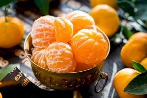 Castelló anima a consumir 12 gajos de clementina en Fin de Año “para respaldar a nuestros agricultores”