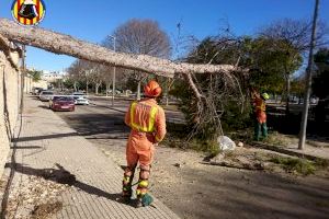 Los bomberos realizan una quincena de actuaciones por el fuerte viento en la provincia de Valencia