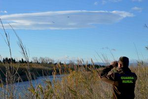 El consorcio del Millars participa en el censo invernal de cormoranes grandes