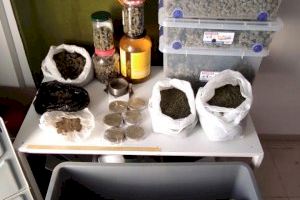 Detenidas en Benicarló siete personas relacionadas con el cultivo y venta de drogas