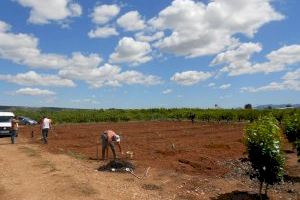 Burriana, Albaida, Almassora y Vila-real preparan espacios para aislar a temporeros contagiados de covid