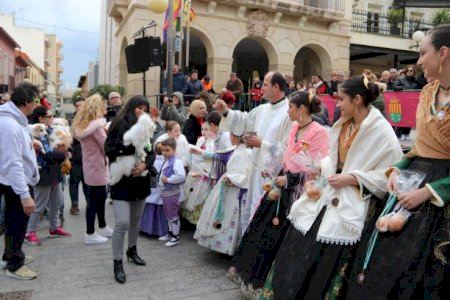 Sant Vicent no celebrarà la tradicional benedicció d'animals amb motiu de Sant Antón