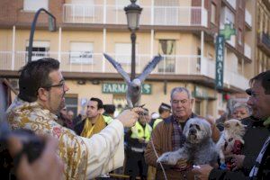 ¿Cómo conseguir la bendición de tu mascota en la fiesta de San Antonio Abad este domingo en Valencia?