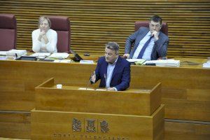 El PSPV-PSOE propone declarar el deporte como actividad esencial