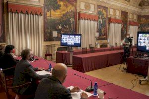 Pleno telemático en la Diputación de Castellón