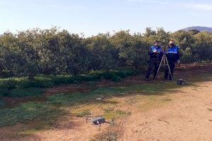 El dron del Consell Agrari refuerza las labores de vigilancia rural en campaña de recogida
