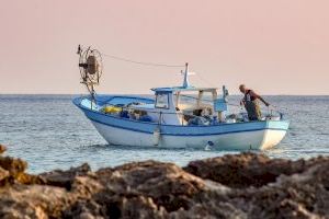 Agricultura reclama un aumento de días de pesca para la flota valenciana que compense su esfuerzo en la reducción de capturas durante el año pasado