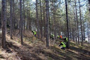 1.400 personas desempleadas podrán trabajar en la conservación de montes tras una subvención de 15 millones de euros del Consell