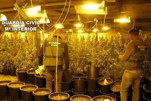 La Guardia Civil desmantela un cultivo con más de 2.000 plantas de marihuana en Moixent