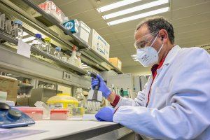 La UPV desarrolla un nuevo test inmunológico para estudiar la seroprevalencia frente al SARS-CoV-2