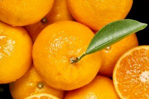 La mandarina Orri prevé producir 60.000 toneladas durante la campaña 2020-2021