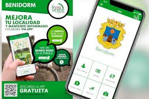 El Ayuntamiento de Benidorm soluciona el 72% de las incidencias recibidas a través de la Línea Verde