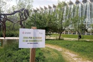 El Ayuntamiento de València adjudica provisionalmente la elaboración del Plan verde y de la Biodiversidad